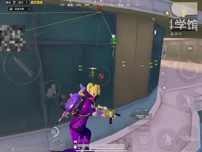 和平精英辅助【九世】